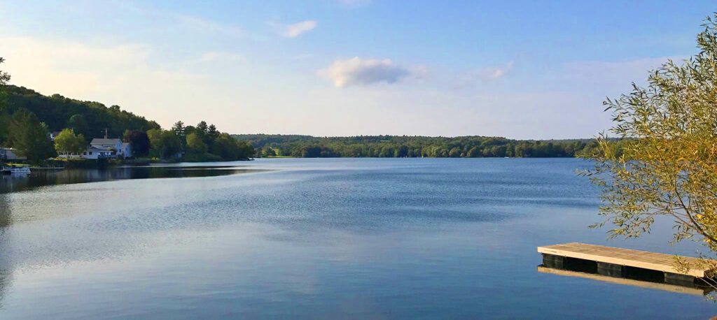 Peaceful view of Lake Wassookeag in Dexter, Maine, with calm blue water, a tree-lined shoreline, and soft clouds over a clear sky.