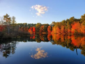 Fall foliage reflects on the calm waters of a lake in Gorham, Maine, with a blue sky and scattered clouds overhead.