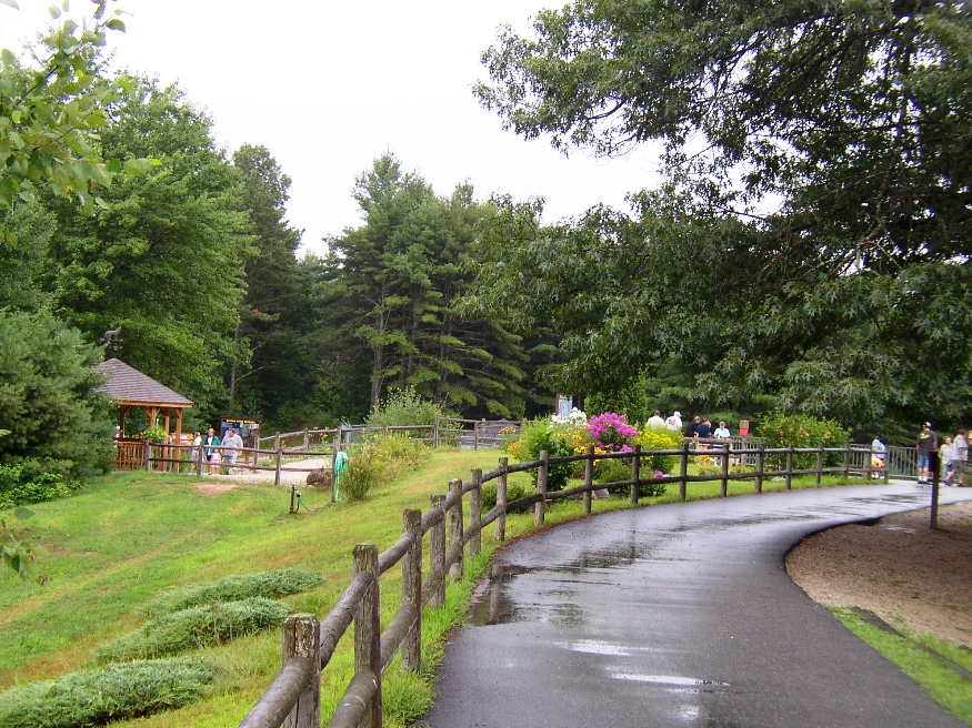 Winding paved path through a wooded park in Gray, Maine, bordered by a rustic wooden fence and surrounded by lush green trees and picnic shelters.