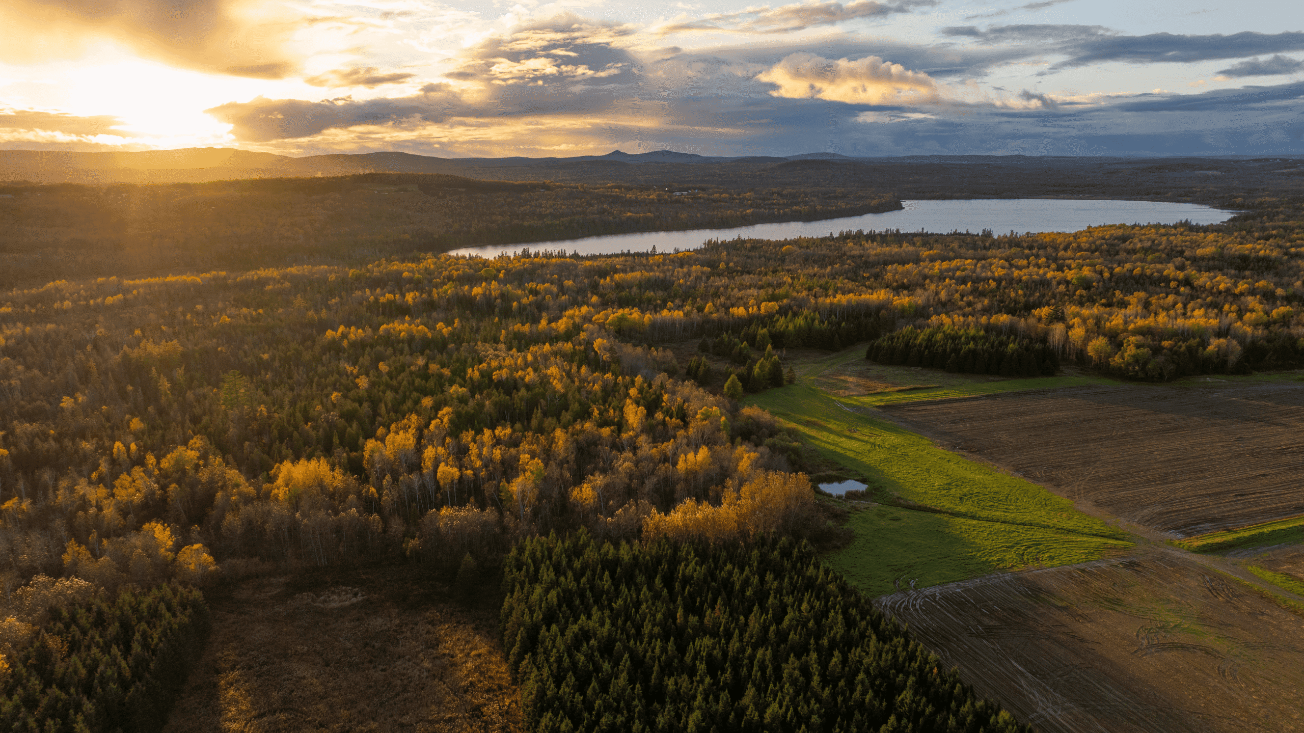 A scenic aerial view of Presque Isle, Maine during fall, representing the importance of managed IT for rural communities and local businesses.