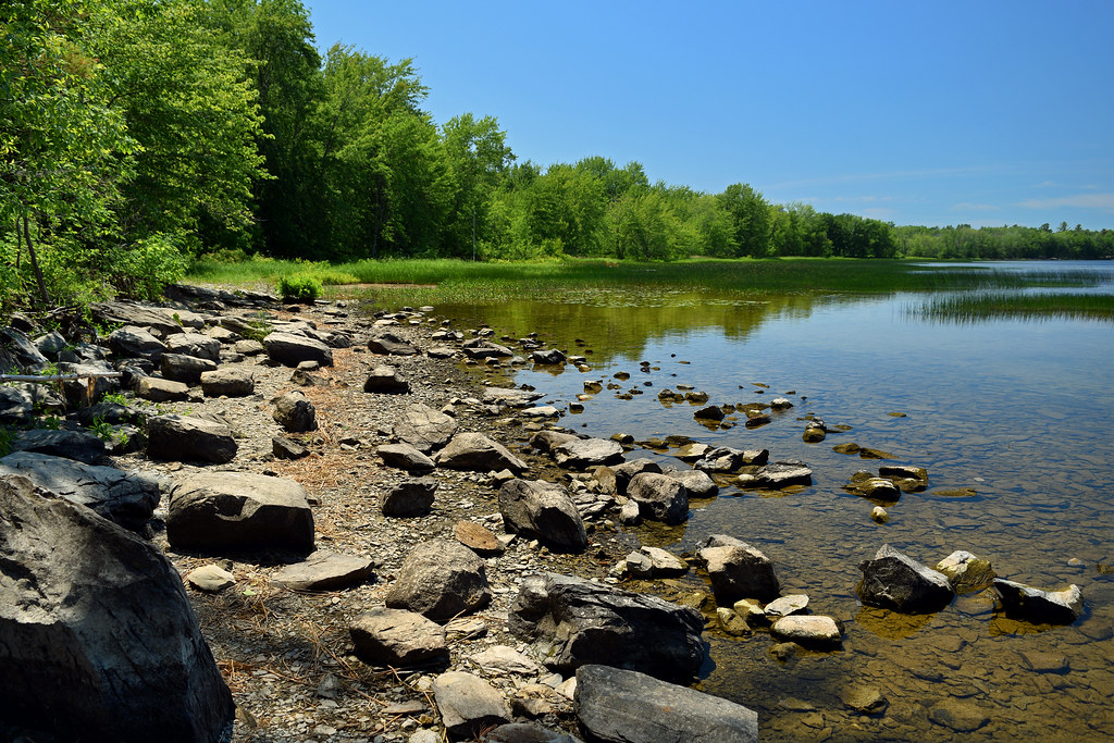 Rocky shoreline along a peaceful river in Unity, Maine, symbolizing the calm reliability of managed IT services for local businesses.